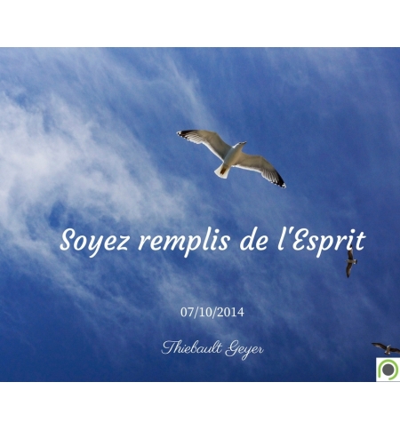 Soyez remplis de l'Esprit - Thiebault Geyer - CD ou DVD Soyez remplis de l'Esprit - Thiebault Geyer - CD ou DVD