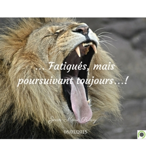 … Fatigués, mais poursuivant toujours…! - Jean-Marie Ribay