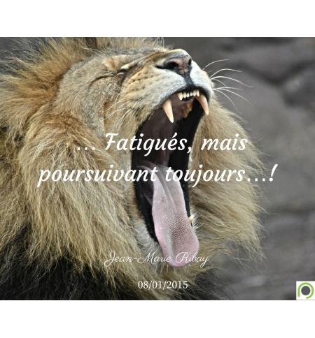 … Fatigués, mais poursuivant toujours…! - Jean-Marie Ribay … Fatigués, mais poursuivant toujours…! - Jean-Marie Ribay