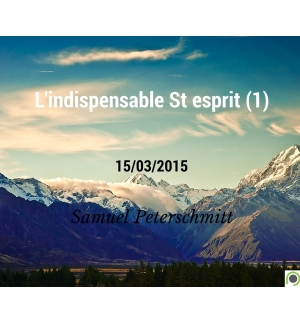 L'indispensable St esprit (1) - Samuel Peterschmitt - CD ou DVD