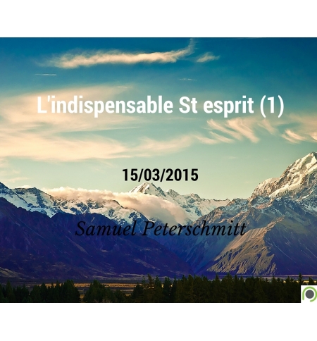 L'indispensable St esprit (1) - Samuel Peterschmitt - CD ou DVD