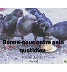Donne-nous notre pain quotidien - Claude Greder - CD ou DVD