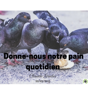 Donne-nous notre pain quotidien - Claude Greder - CD ou DVD