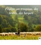 L'église, un troupeau, des brebis, des bergers - Jean-Marie Ribay - CD ou DVD