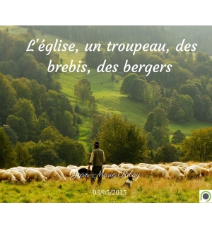 L'église, un troupeau, des brebis, des bergers - Jean-Marie Ribay - CD ou DVD