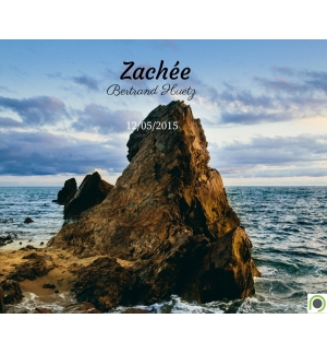 Zachée - Bertrand Huetz - CD ou DVD