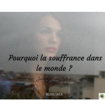 Pourquoi la souffrance dans le monde ? - Jean-Marie Ribay - CD ou DVD
