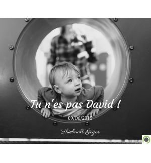 Tu n'es pas David ! - Thiebault Geyer - CD ou DVD