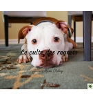 Le culte des regrets - Jean-Marie Ribay - CD ou DVD