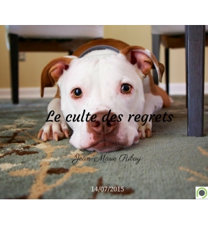Le culte des regrets - Jean-Marie Ribay - CD ou DVD