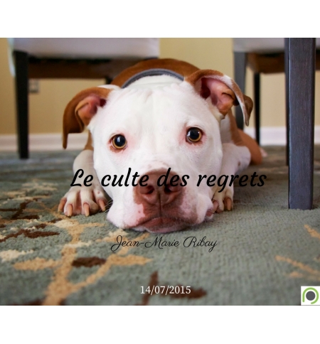 Le culte des regrets - Jean-Marie Ribay - CD ou DVD Le culte des regrets - Jean-Marie Ribay - CD ou DVD
