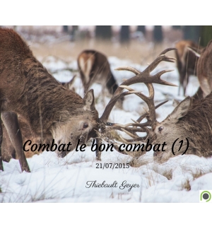 Combat le bon combat - Thiebault Geyer - CD ou DVD