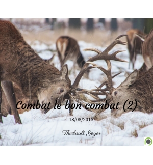 Combat le bon combat (2) - Thiebault Geyer - CD ou DVD
