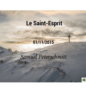 Le Saint-Esprit - Samuel Peterschmitt - CD ou DVD