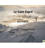Le Saint-Esprit - Samuel Peterschmitt - CD ou DVD