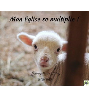 Mon Eglise se multiplie !  - Jean-Marie Ribay - CD ou DVD