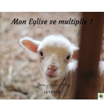 Mon Eglise se multiplie !  - Jean-Marie Ribay - CD ou DVD