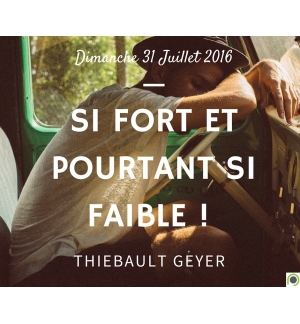 Si fort et pourtant si faible !  - Thiebault Geyer