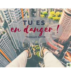 Tu es en Danger !  - Thiebault Geyer