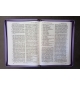 Bible Segond 1910 - Couleur parme clair et foncé