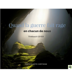 Quand la guerre fait rage en chacun de nous ! - Thiebault Geyer