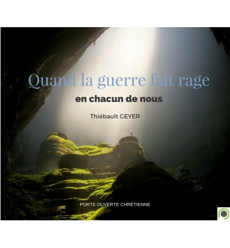 Quand la guerre fait rage en chacun de nous ! - Thiebault Geyer