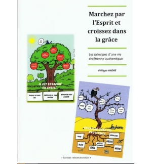 Marcher par l'esprit et croissez dans la grâce - Philippe André