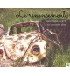 Le renoncement - Bertrand Huetz