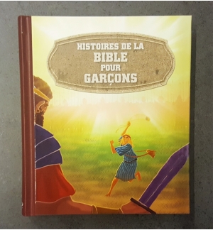 Histoires de la Bible pour garçons - De 7 à 12 ans