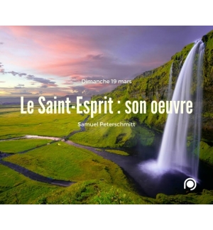 Le Saint Esprit : son oeuvre - Samuel Peterschmitt