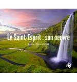 Le Saint Esprit : son oeuvre - Samuel Peterschmitt