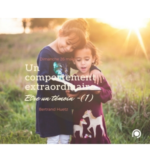 Un comportement extraordinaire - Bertrand Huetz