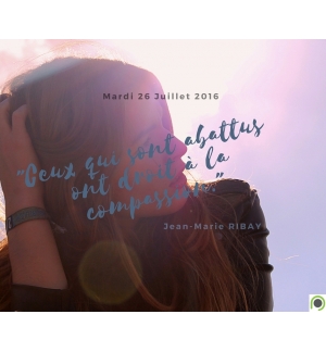Ceux qui sont abattus ont droit à la compassion - Jean-Marie Ribay