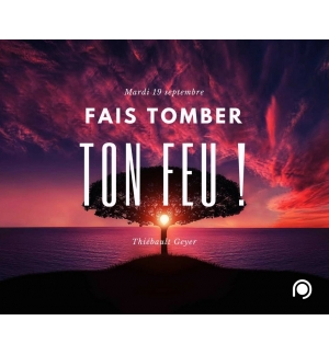 Fais tomber ton feu - Thiebault Geyer