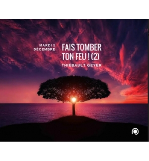Fais tomber ton feu (2) - Thiebault Geyer