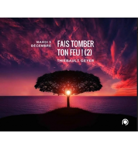 Fais tomber ton feu (2) - Thiebault Geyer