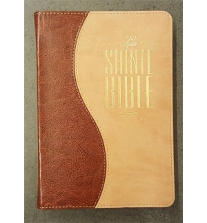 Bible Segond 1910 - Duo brun