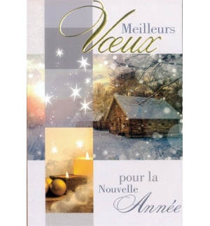 Carte meilleurs voeux