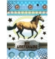 Carte "Anniversaire"