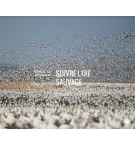 Suivre l'oie sauvage - Étienne Vernaz