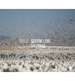 Suivre l'oie sauvage - Étienne Vernaz