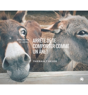 Arrête de te comporter comme un âne - Thiebault Geyer