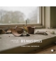 Des vases brisés - Christian Gagnieux