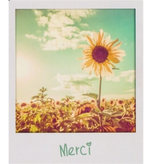 Carte "Merci"