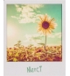 Carte "Merci"