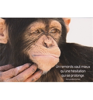 Carte "Divers"