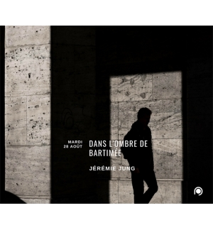 Dans l'ombre de Bartimée - Jérémie Jung