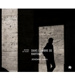 Dans l'ombre de Bartimée - Jérémie Jung