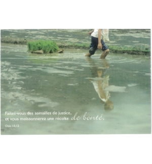 carte divers