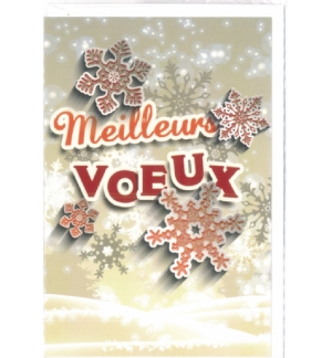Cartes noël nouvel an